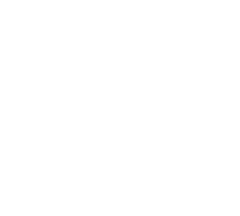 DREAMSTREAM Academy
